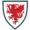 Explore Wales_national_football_team_logo – Australia Football Shirts & Soccer Gear