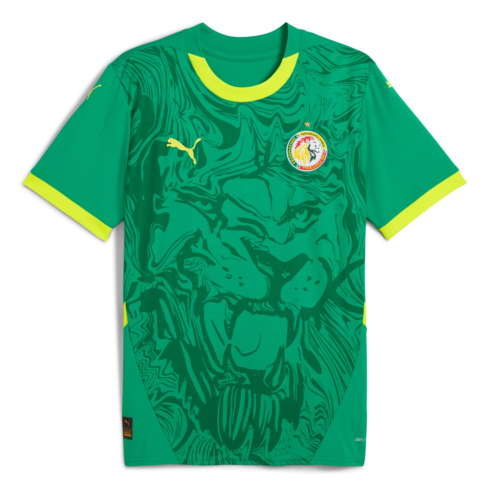 Explore senegal national team puma 2025 away replica jersey – green – Australia Football Shirts & Soccer Gear