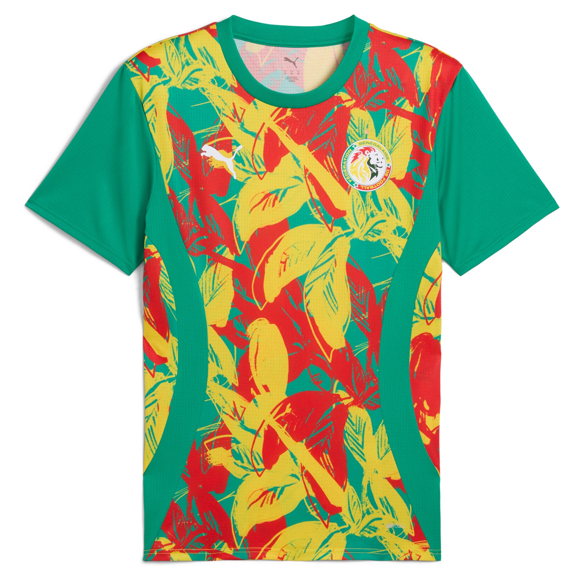 Explore senegal national team puma 2025 pre-match jersey – green – Australia Football Shirts & Soccer Gear